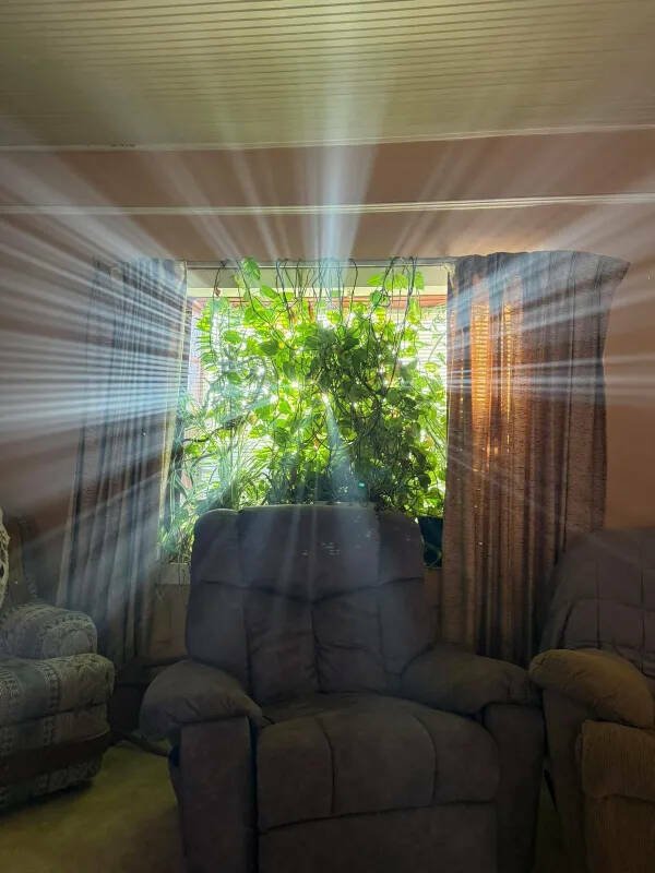 Подборка картинок. Вечерний выпуск - 04.12.2025