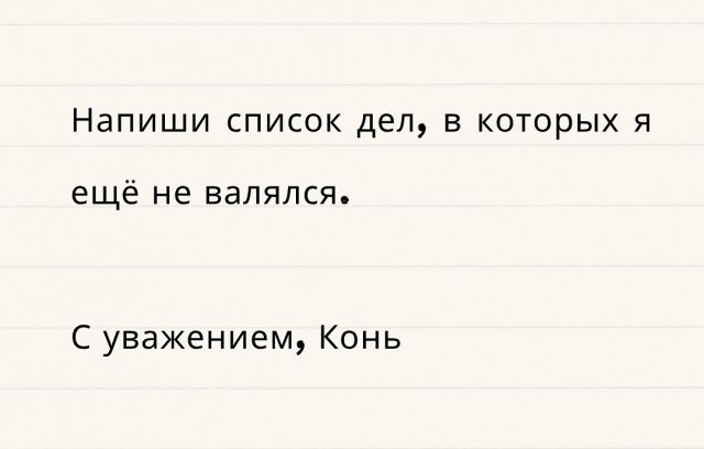 Подборка картинок. Вечерний выпуск - 04.12.2025