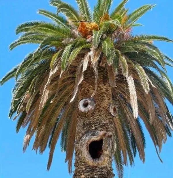 Подборка картинок. Вечерний выпуск - 04.12.2025