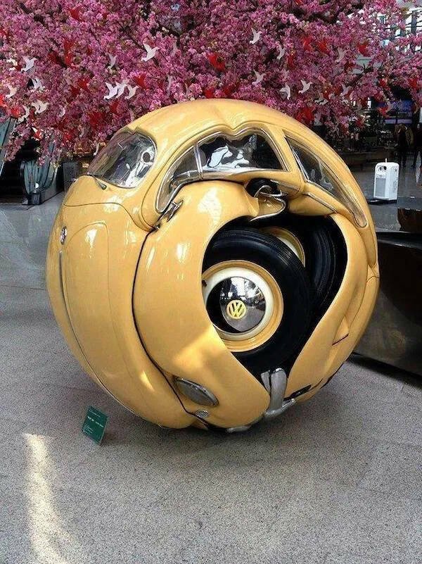 Подборка картинок. Вечерний выпуск - 04.12.2025