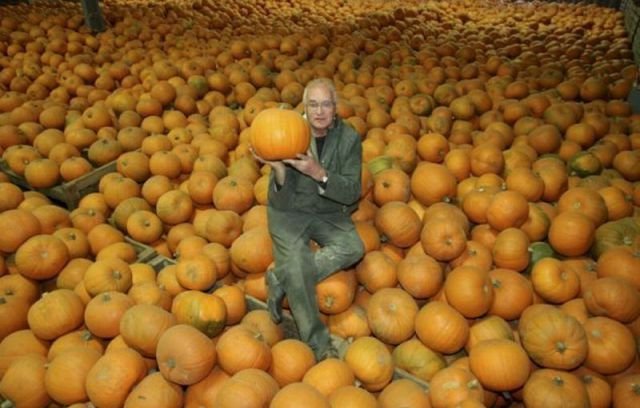 Подборка картинок. Вечерний выпуск - 04.12.2025