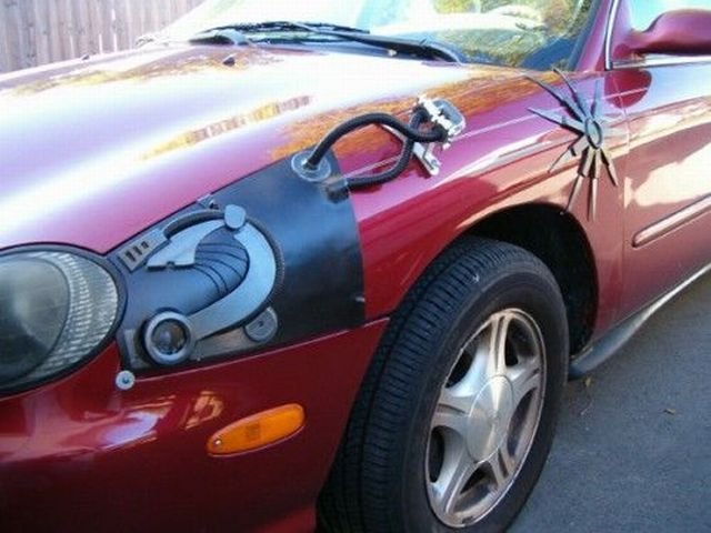 Подборка картинок. Вечерний выпуск - 04.12.2025