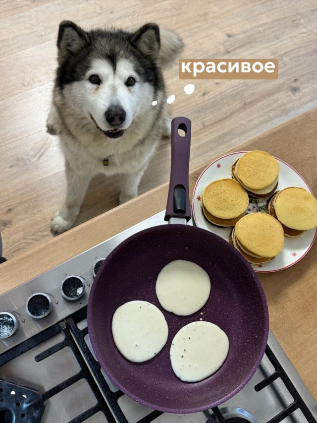 Мем с &quot;показываем рыбов&quot; в исполнении хаски