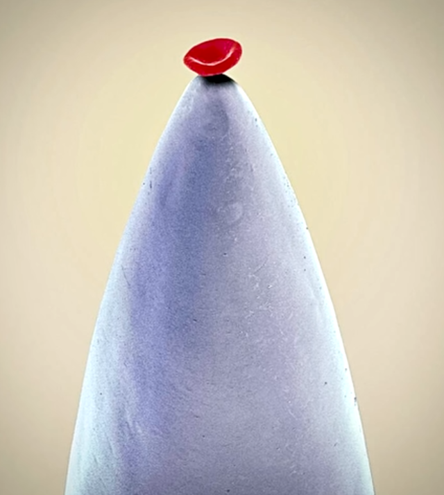 Клетка крови на игле