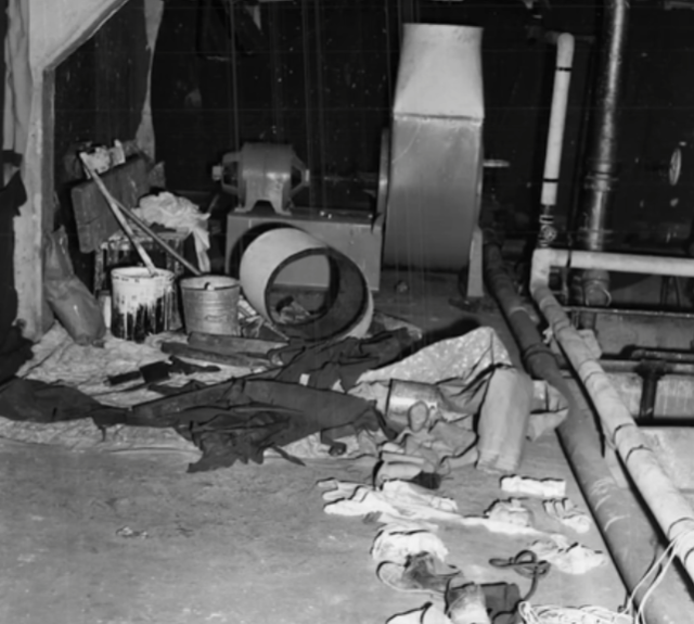 Безумные побеги