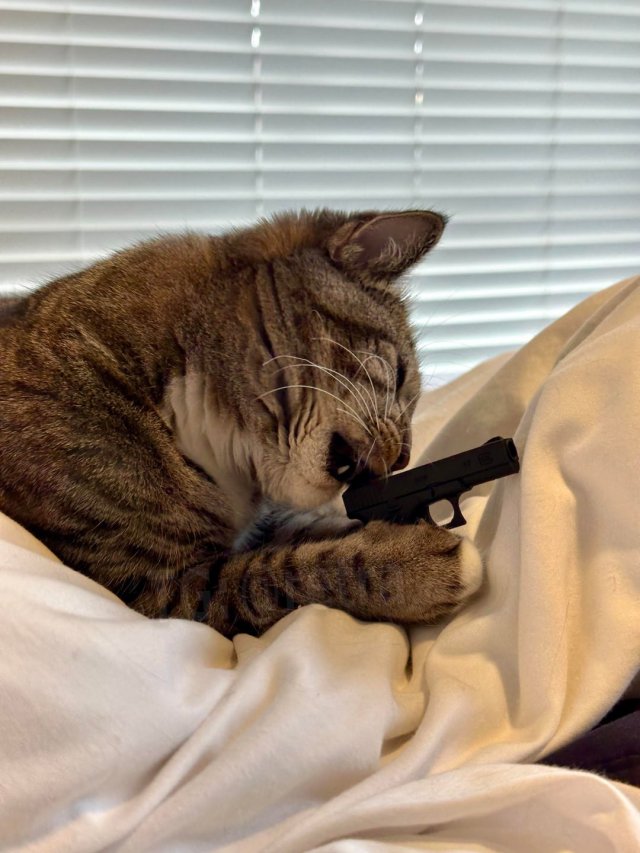 Парень напечатал маленькую модель пистолета на 3D-принтере и вот, что получилось