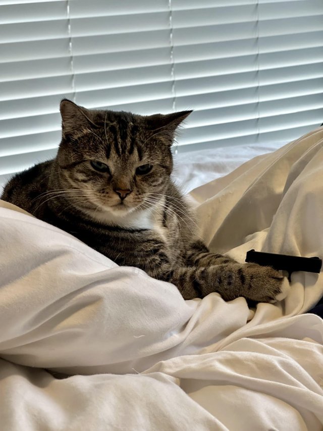 Парень напечатал маленькую модель пистолета на 3D-принтере и вот, что получилось