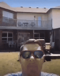 Подборка гифок -  04.12.2025