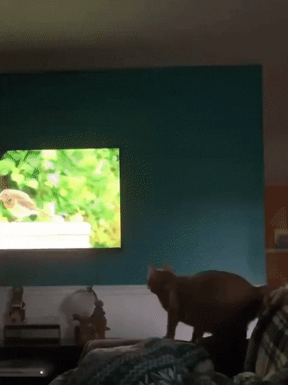 Подборка гифок -  04.12.2025