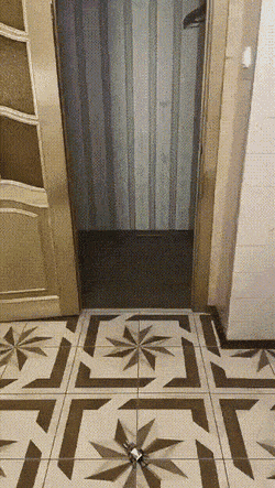 Подборка гифок -  04.12.2025