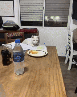 Подборка гифок -  04.12.2025