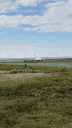 Подборка гифок -  04.12.2025