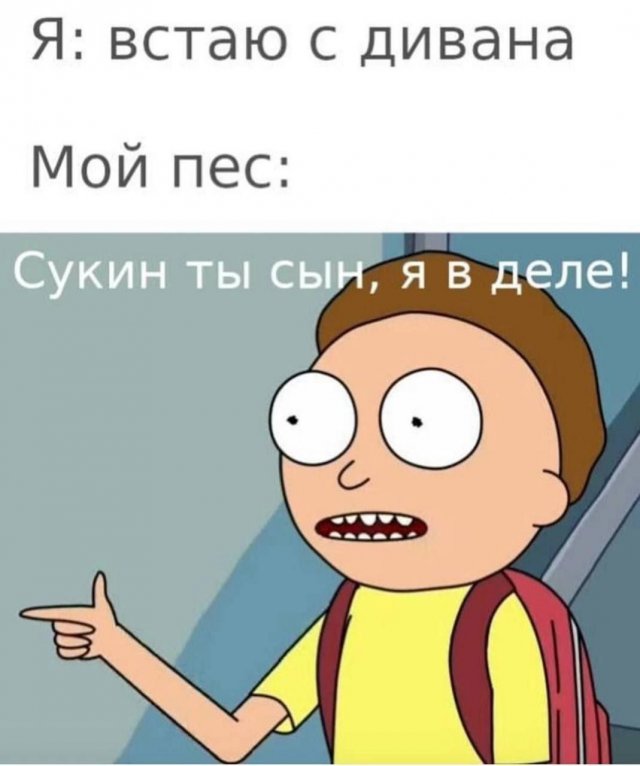 Лучшие шутки и мемы из Сети - 04.12.2025