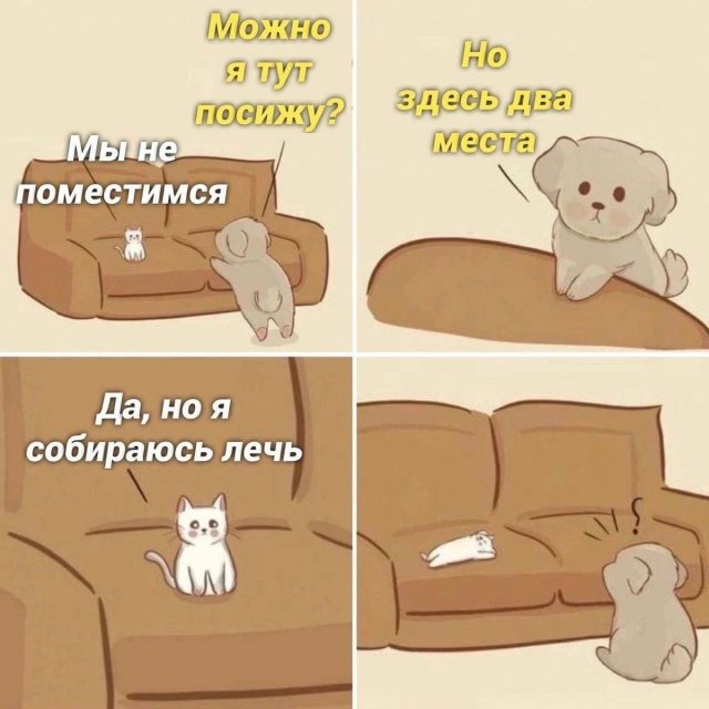 Лучшие шутки и мемы из Сети - 04.12.2025