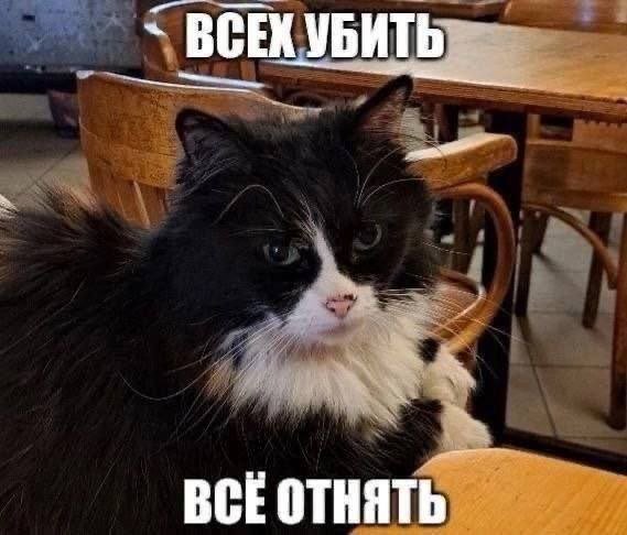 Лучшие шутки и мемы из Сети - 04.12.2025