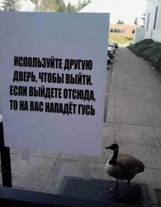 Лучшие шутки и мемы из Сети - 04.12.2025