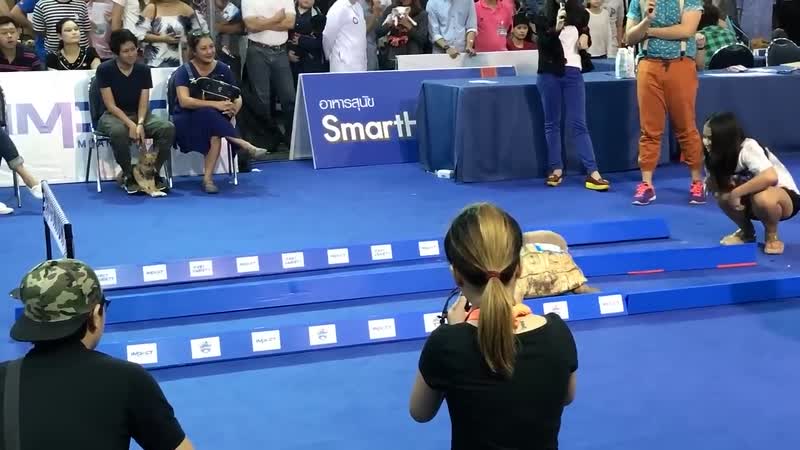 Из басни в реальность.