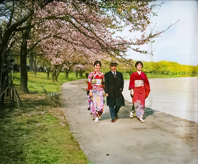 Японцы гуляющие на фоне цветущей сакуры. Вашингтон, округ Колумбия, 1932 год.