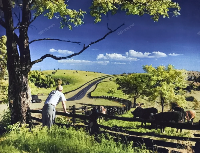 Мужчина опирается на забор рядом с полем, где пасутся коровы, чтобы полюбоваться видом на парковую зону Блу-Ридж среди гор в парке Доутон, Северная Каролина, около 1930 года.