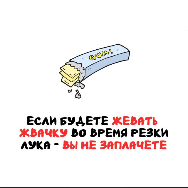 Интересные факты на все случаи жизни