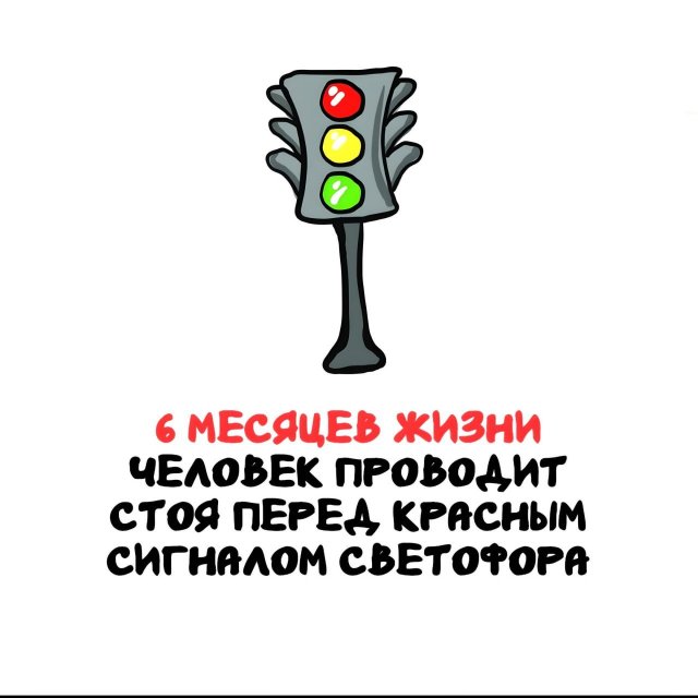 Интересные факты на все случаи жизни