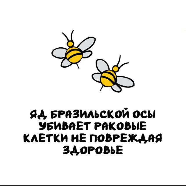 Интересные факты на все случаи жизни