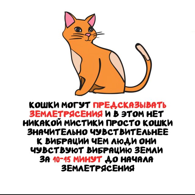 Интересные факты на все случаи жизни