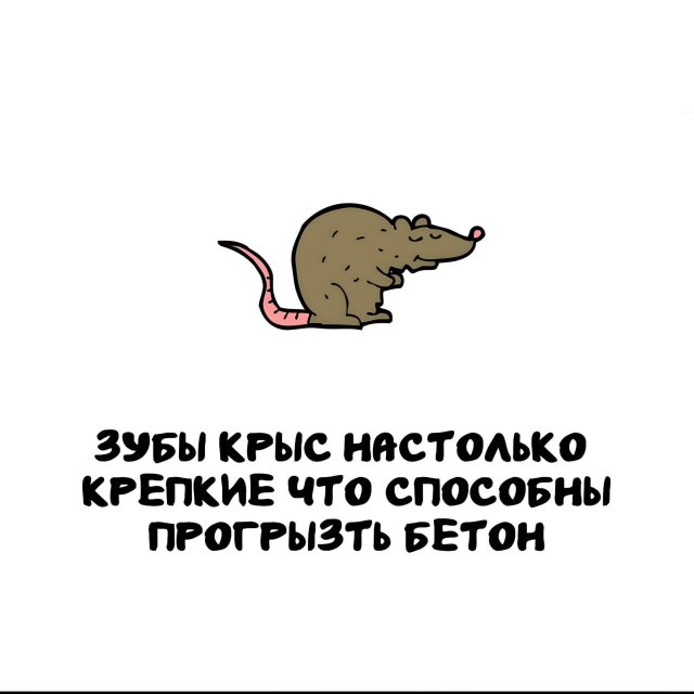 Интересные факты на все случаи жизни