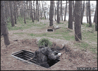 Подборка гифок -  05.12.2025