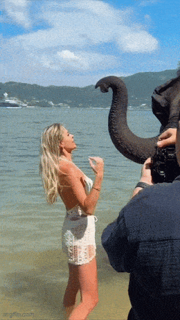 Подборка гифок -  05.12.2025