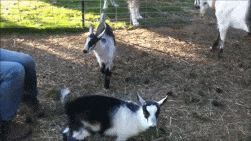 Подборка гифок -  05.12.2025