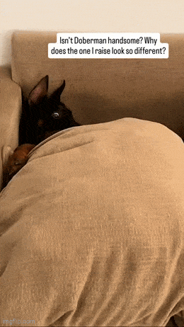 Подборка гифок -  05.12.2025