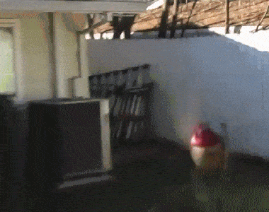 Подборка гифок -  05.12.2025