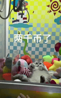 Подборка гифок -  05.12.2025