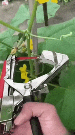 Подборка гифок -  05.12.2025