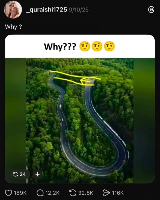 В Сети спросили, зачем строить длинный мост, если его можно сократить: ответы удивляют