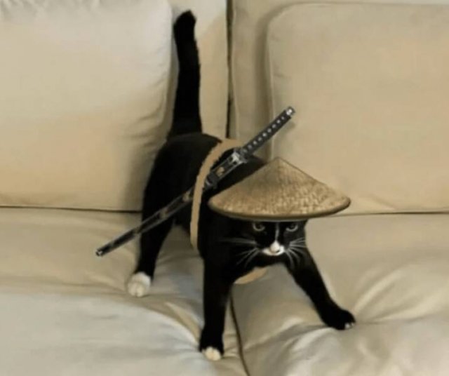 Подборка картинок. Вечерний выпуск - 05.12.2025