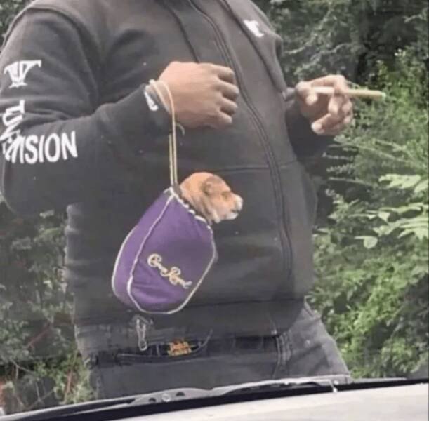 Подборка картинок. Вечерний выпуск - 05.12.2025