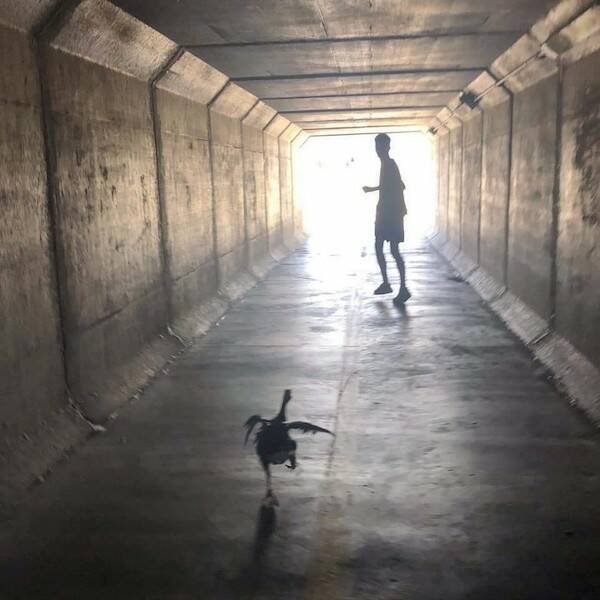 Подборка картинок. Вечерний выпуск - 05.12.2025