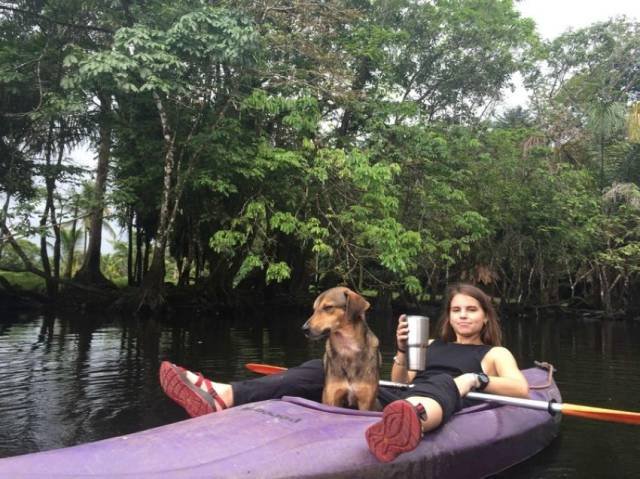 Подборка картинок. Вечерний выпуск - 05.12.2025