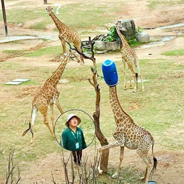 Подборка картинок. Вечерний выпуск - 05.12.2025