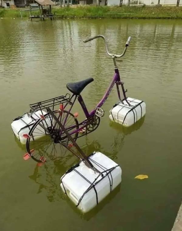 Подборка картинок. Вечерний выпуск - 05.12.2025