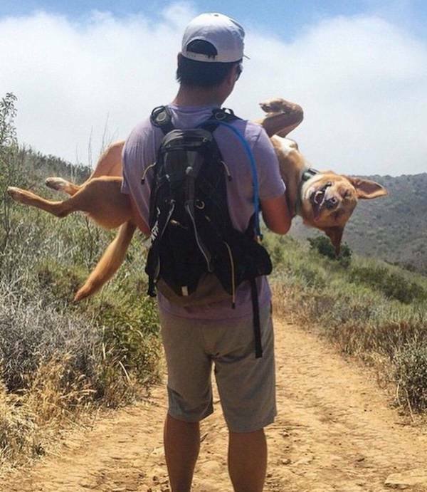 Подборка картинок. Вечерний выпуск - 05.12.2025