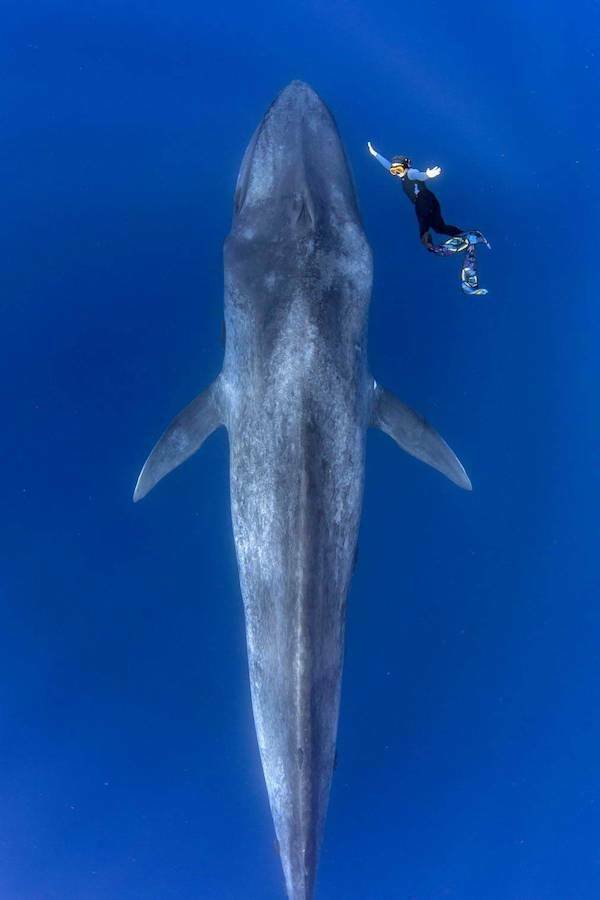 Подборка картинок. Вечерний выпуск - 05.12.2025