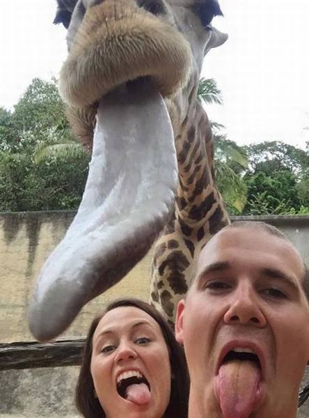 Подборка картинок. Вечерний выпуск - 05.12.2025