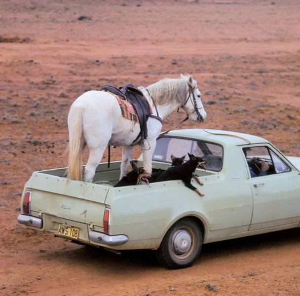 Подборка картинок. Вечерний выпуск - 05.12.2025