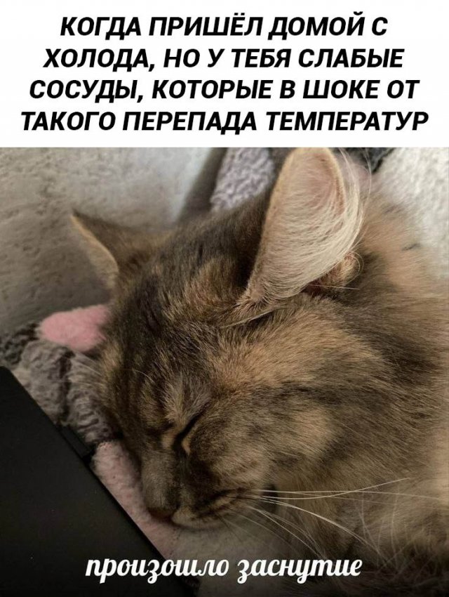 Лучшие шутки и мемы из Сети - 05.12.2025