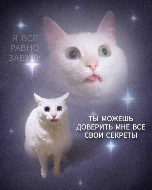 Лучшие шутки и мемы из Сети - 05.12.2025