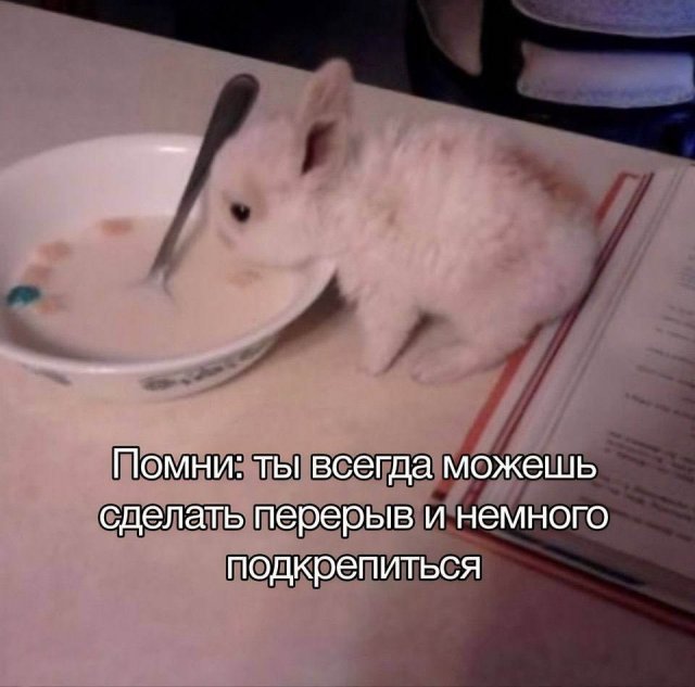 Лучшие шутки и мемы из Сети - 05.12.2025