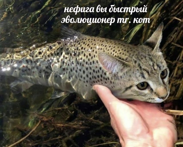 Лучшие шутки и мемы из Сети - 05.12.2025